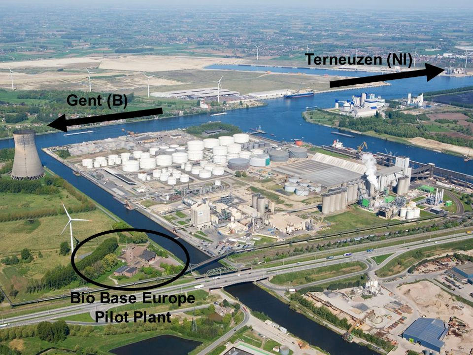 Bio Base Europe Pilot Plant