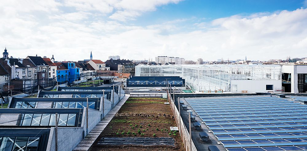 Première mondiale dans le urban farming aquaponique