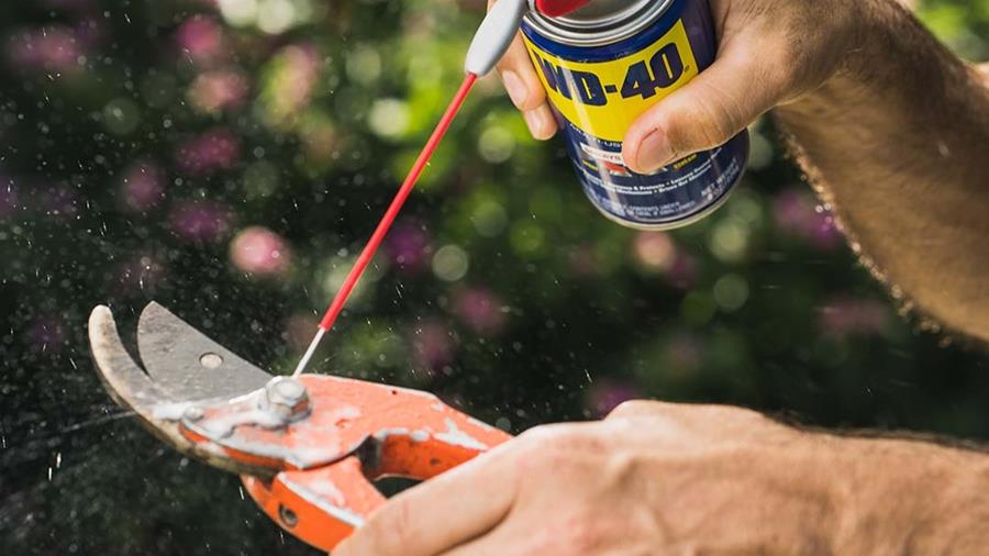 Prenez du temps pour votre jardin