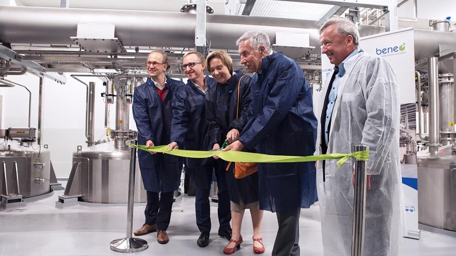 Nouvelle ligne de production d'amidon de riz