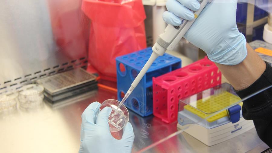 Des règles plus souples pour les aliments génétiquement modifiés