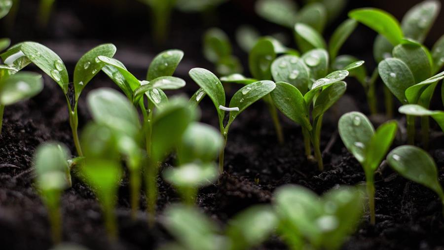 Trois entreprises innovantes dans la transformation alimentaire