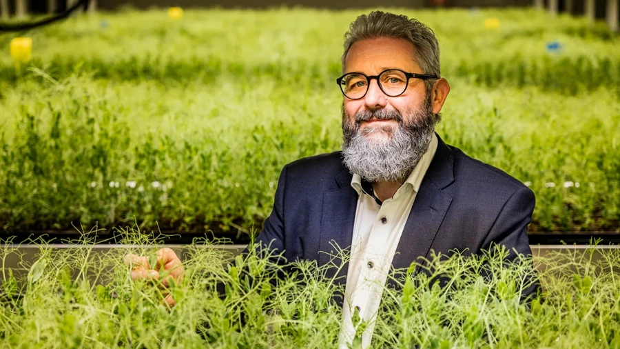 Une jeune entreprise gantoise prouve que la culture du soja est possible chez nous