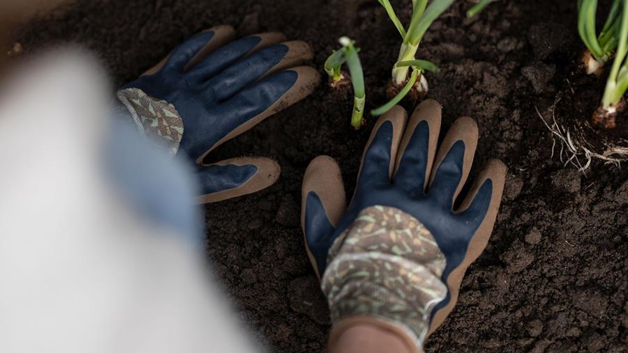 Martens Kunststoffen introduceert de Clip Glove