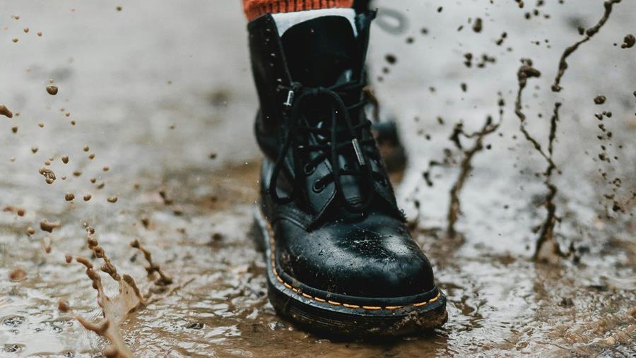 Zakenbarometer eerste semester 2024