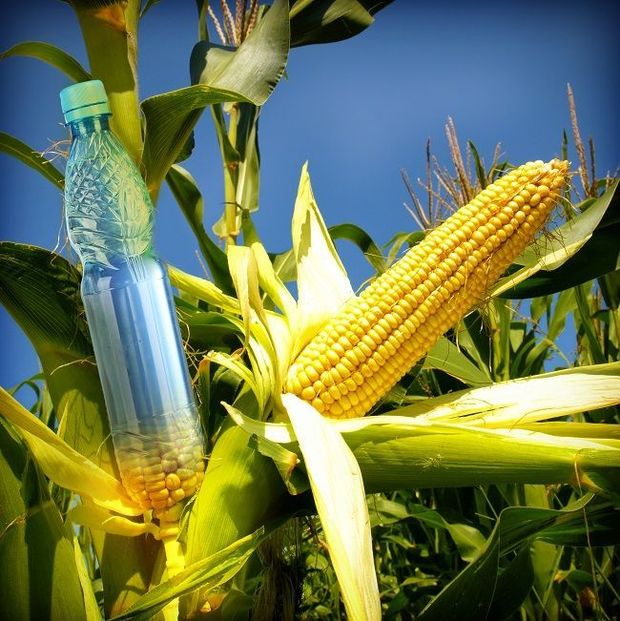 Biobased innovaties in verpakken