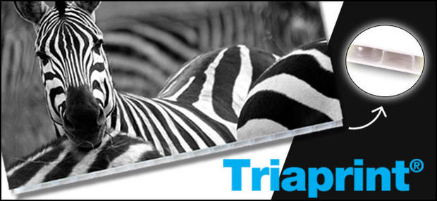 Nouveau chez Antalis : la plaque Triaprint® - sans PVC