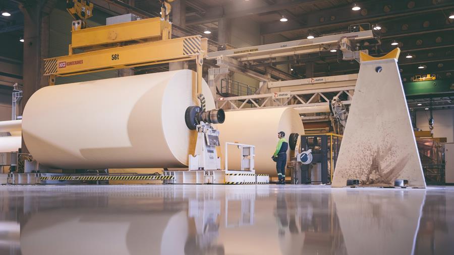 La production de pâte et de papier va se rétablir cette année