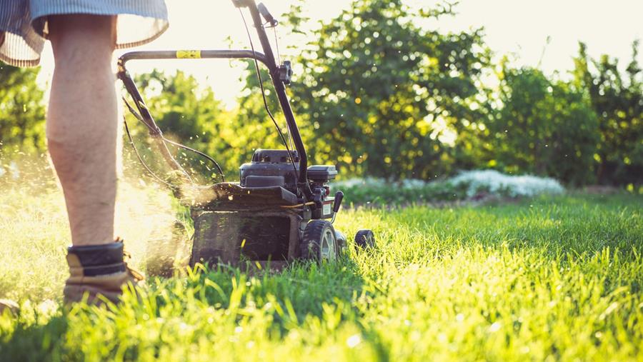 Comment choisir une tondeuse à gazon?