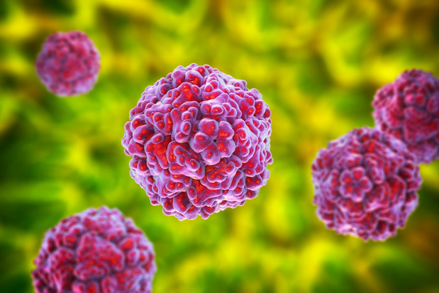 Virus et diabète de type 1: le point sur les nouvelles connaissances