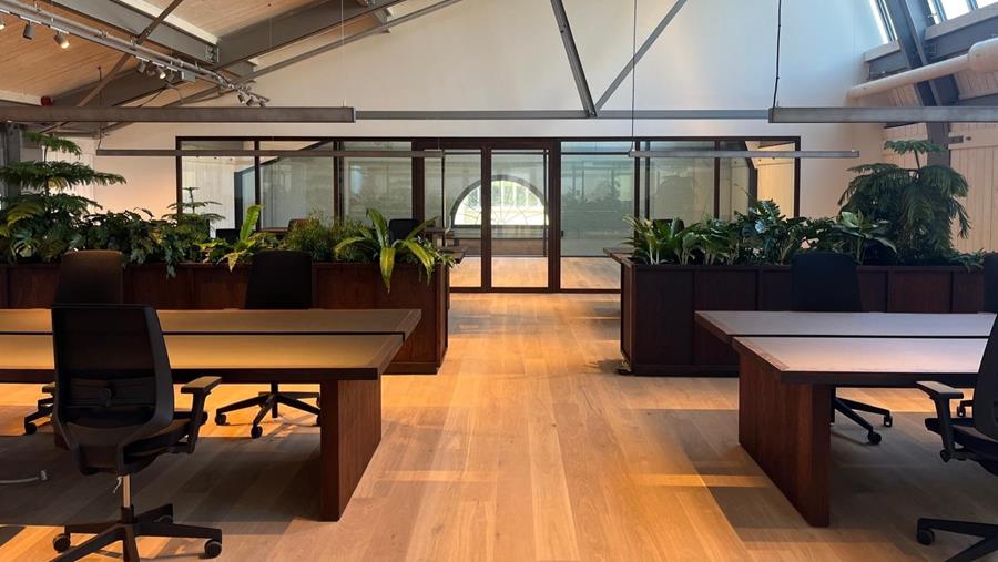 6.000 m² parket voor Tomorrowland-hoofdkwartier