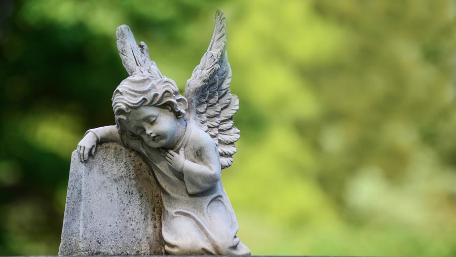 Comité de bioéthique : "Un fœtus mort-né ne peut pas être enterré dans le jardin"