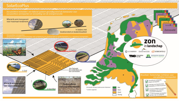 Ecologische effecten innovatieve zonneparken