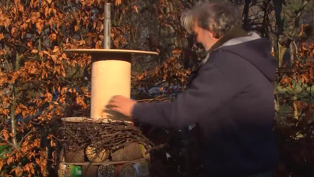 MAAK ZELF EEN BEESTENTOREN