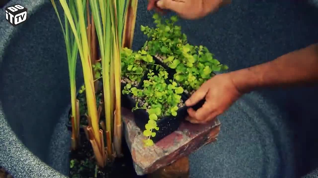 HOE EEN MINIVIJVER MAKEN