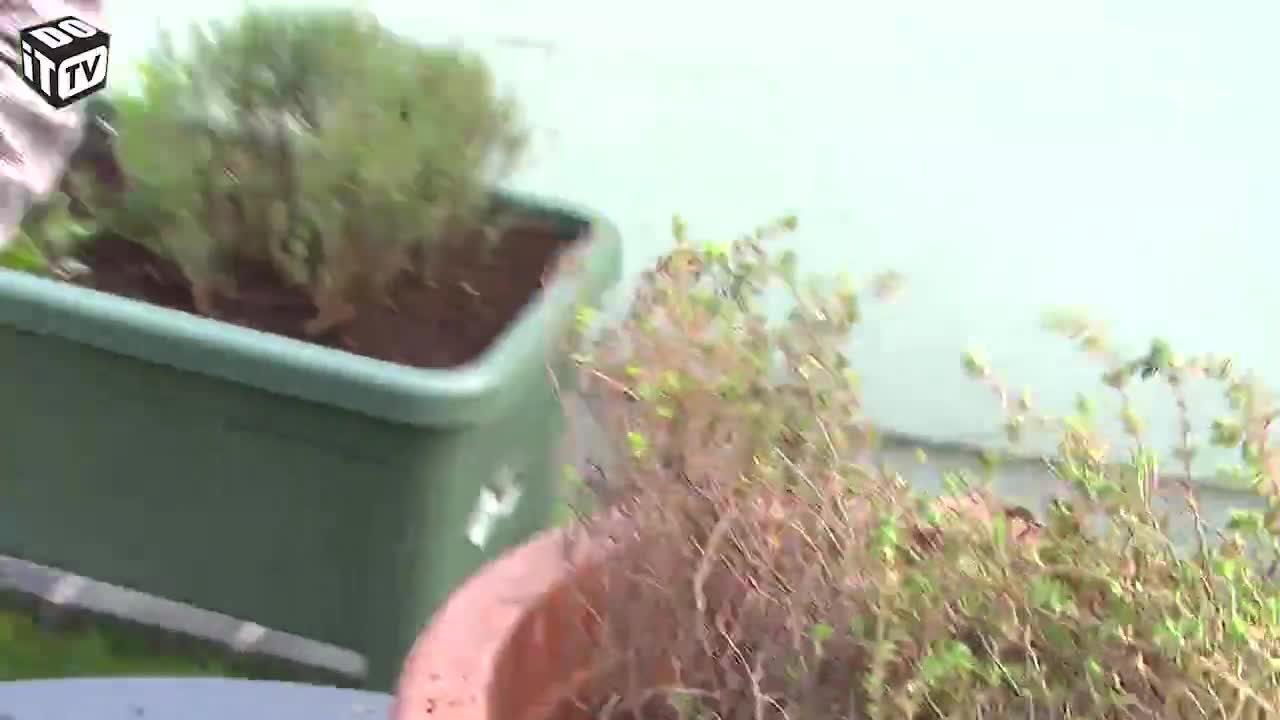 CULTIVER LES HERBES: TENDACES ET ASTUCES