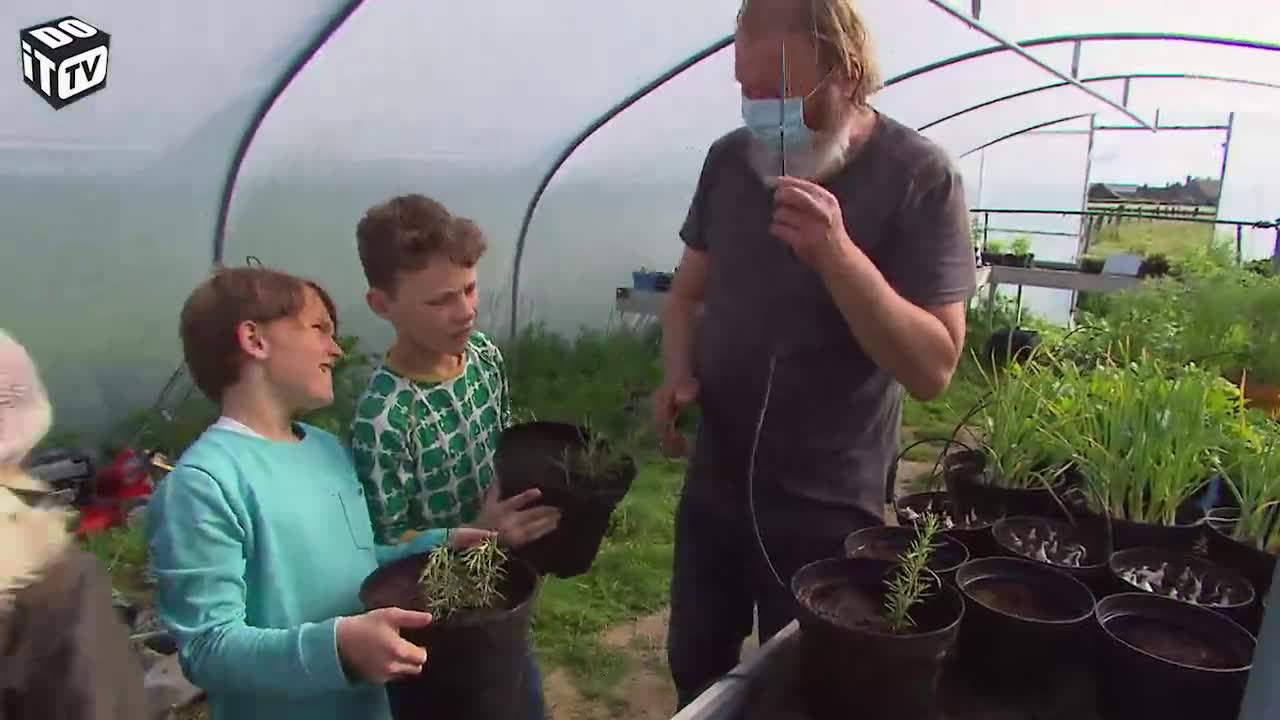 ROYAUME DES LÉGUMES À L'ÉCOLE